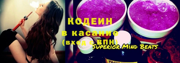 хмурый Касимов