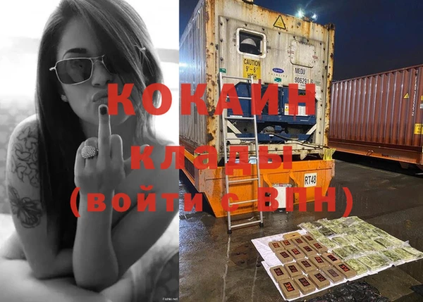 хмурый Касимов