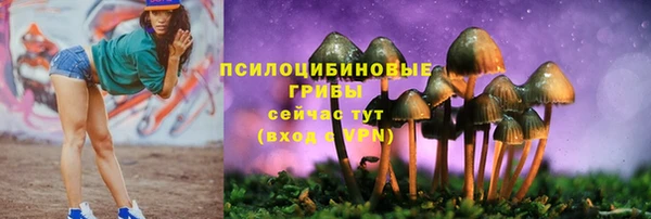 хмурый Касимов