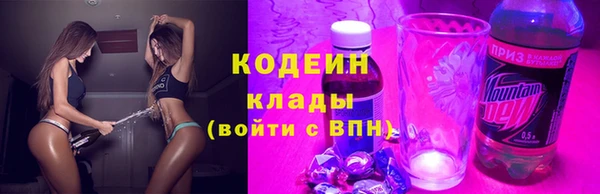 хмурый Касимов