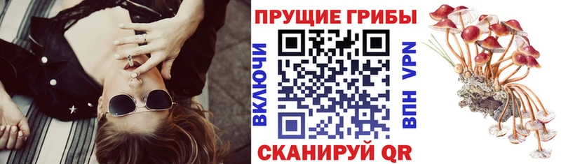Купить закладки  Дюртюли  Псилоцибиновые грибы ЛСД 
